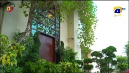 Mann Marzi - Episode 11 - 19th January 2025